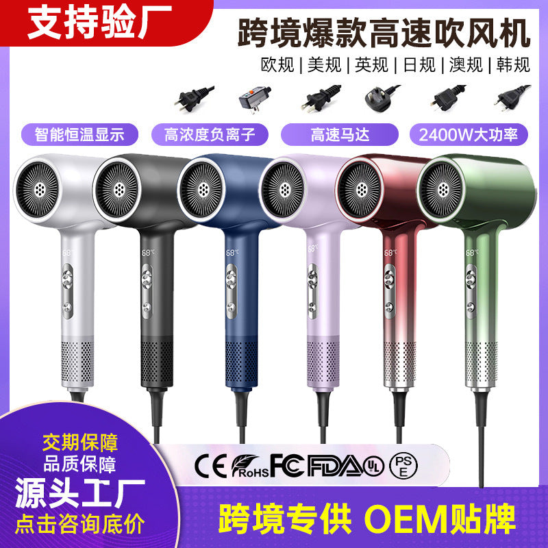 Pro High-Speed Hair Dryer