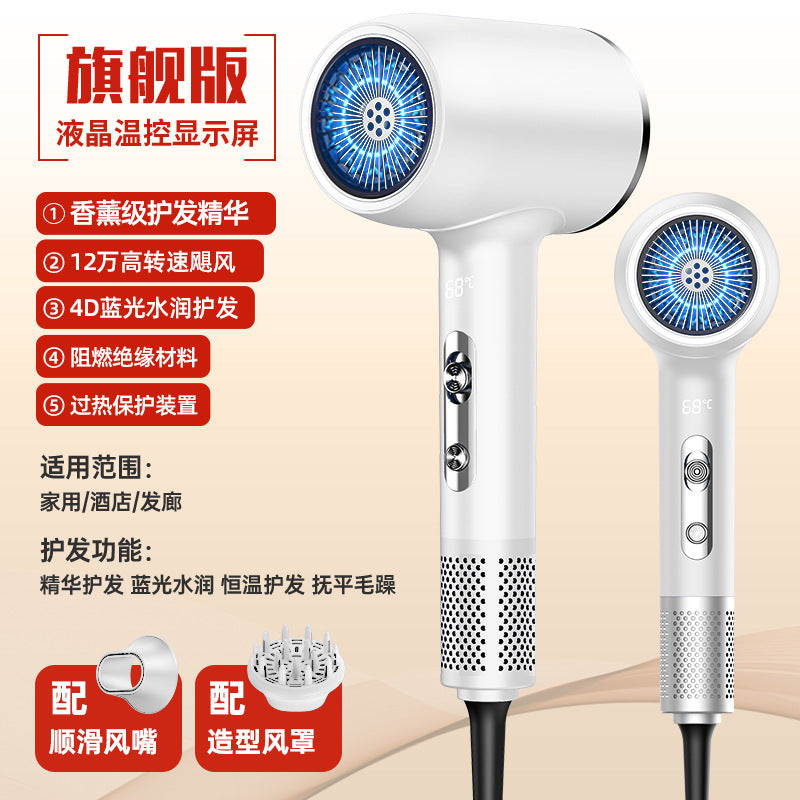 Pro High-Speed Hair Dryer