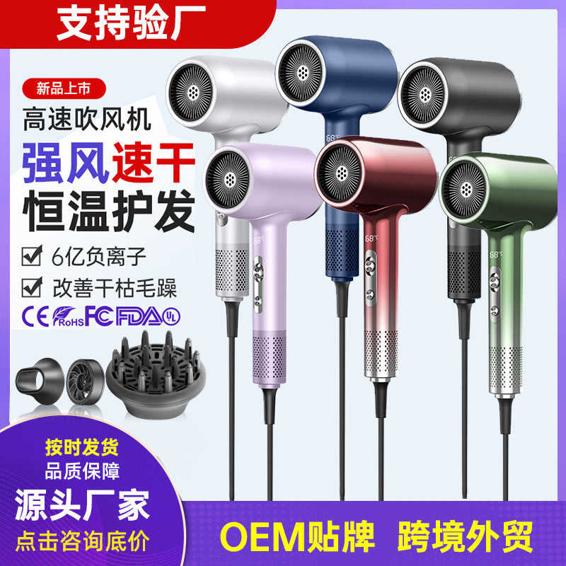 Pro High-Speed Hair Dryer