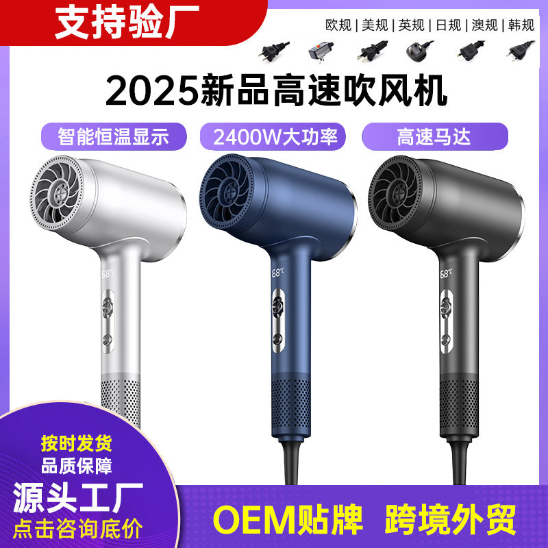 Pro High-Speed Hair Dryer