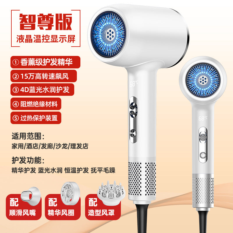 Pro High-Speed Hair Dryer